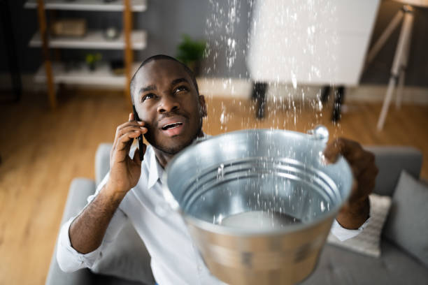 Best Ceiling water damage repair  in White Plains, NY