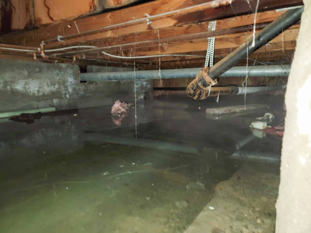 Best Basement water damage restoration  in White Plains, NY