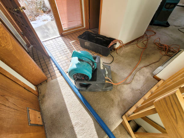Best Flood restoration services  in White Plains, NY