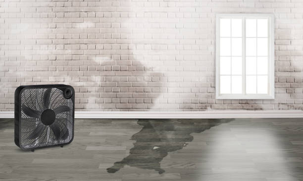 Best Commercial water damage restoration  in White Plains, NY