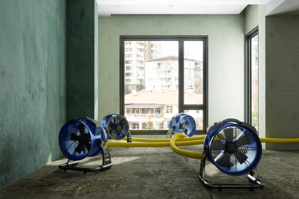  White Plains, NY Water damage restoration Pros