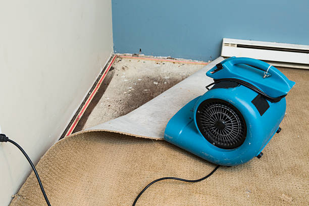 Best Water damage cleanup near me  in White Plains, NY